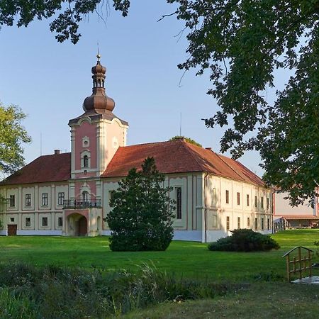 Penzion Zámek Lešany Netvorice Bagian luar foto