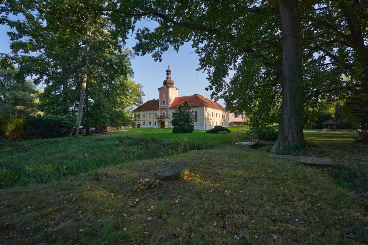 Penzion Zámek Lešany Netvorice Bagian luar foto