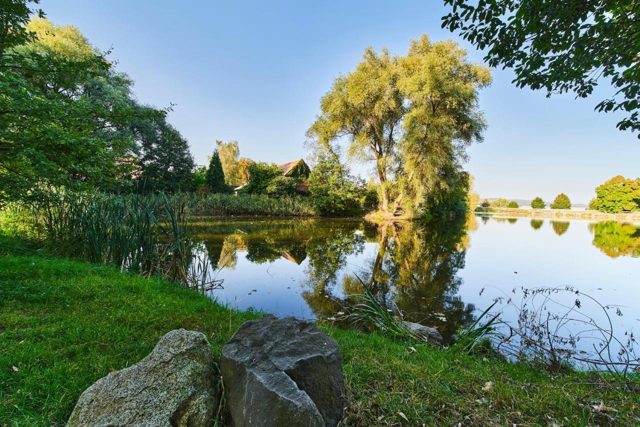 Penzion Zámek Lešany Netvorice Bagian luar foto