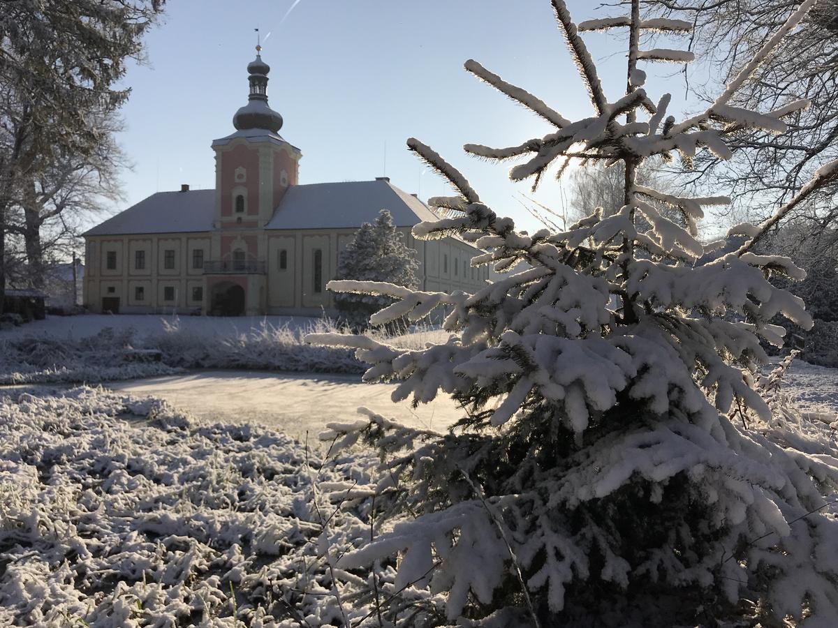 Penzion Zámek Lešany Netvorice Bagian luar foto