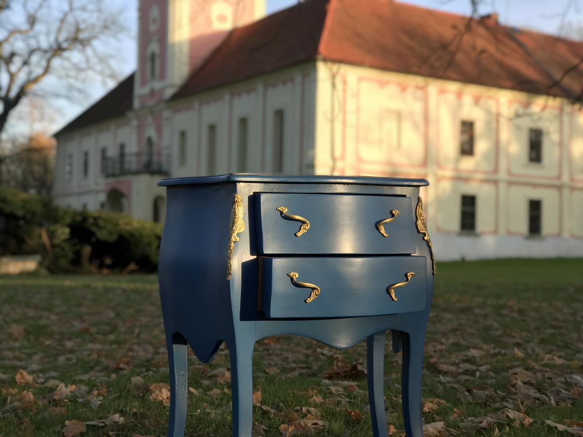 Penzion Zámek Lešany Netvorice Bagian luar foto